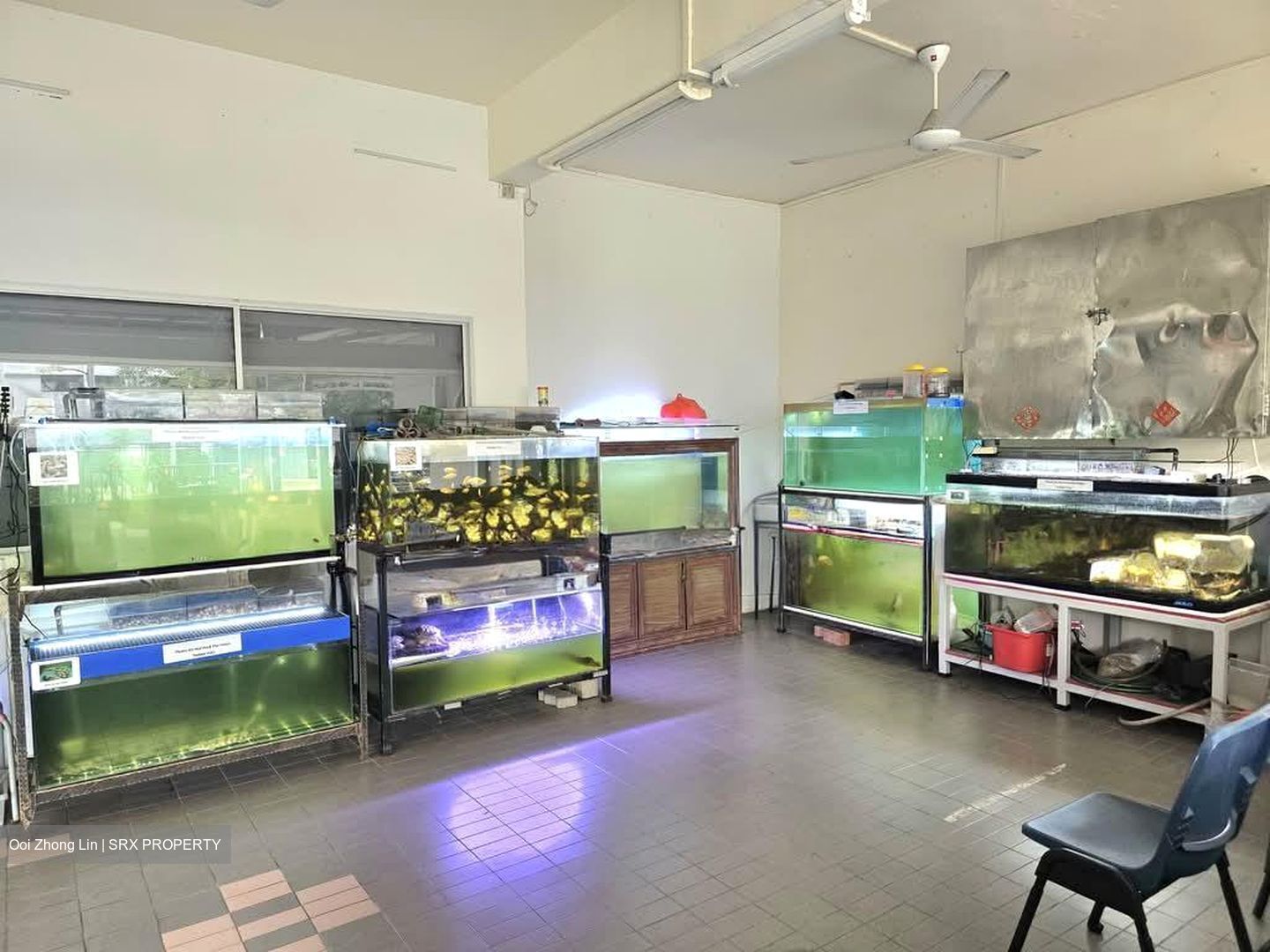 Blk 418 Teck Ghee Heartlands (Ang Mo Kio), HDB 3 Rooms #585952791